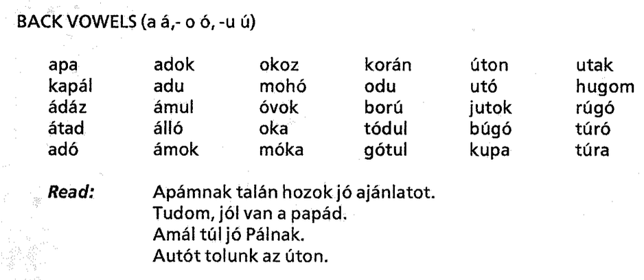 Back Vowels (a á,- o ó, -u ú) screenshot
