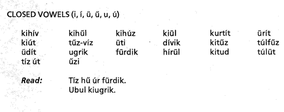 Closed Vowels (i, í, u, ú, ü, ű) screenshot