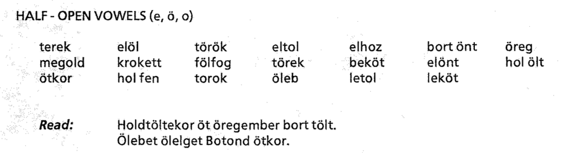 Half-Open Vowels (e, o, ö) screenshot