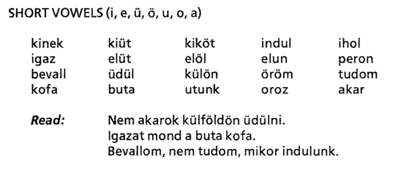 Short Vowels (i, e, ü, u, o, a) screenshot